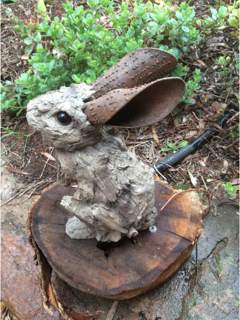  Driftwood Collection