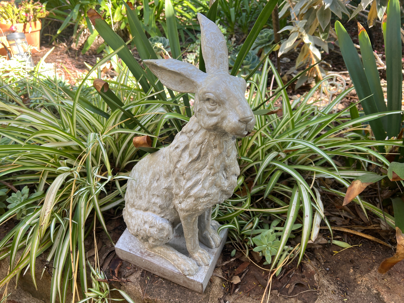  Sitting Hare on Base