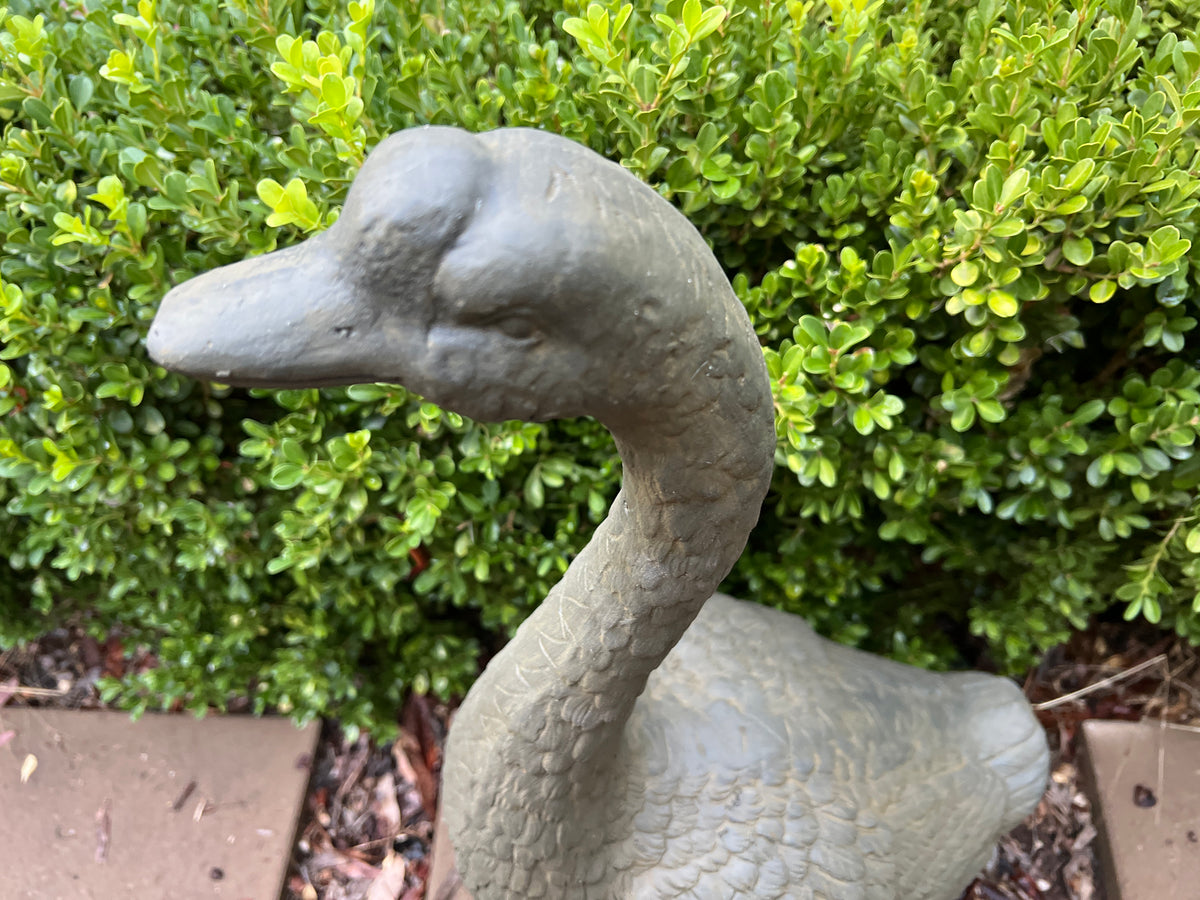  Goose Head Up