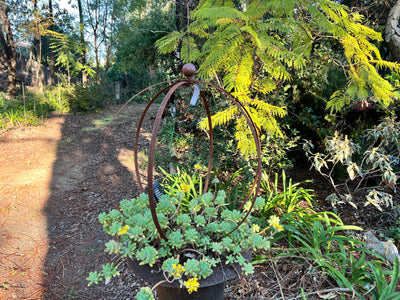  Large Growing Frsme