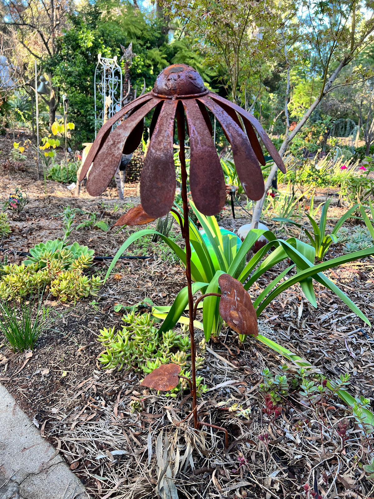  Large Rust Daisy