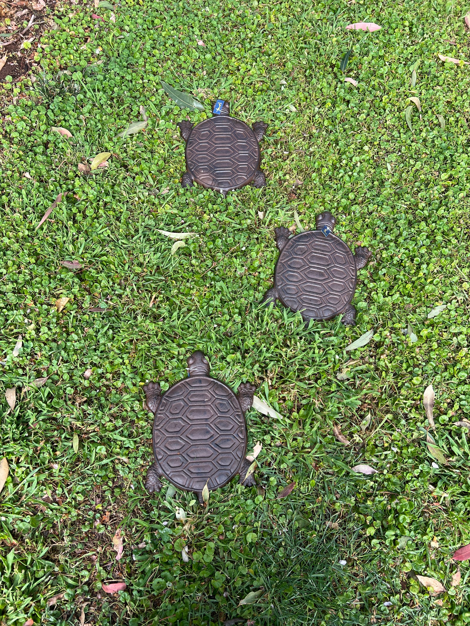  Turtle Garden Stepping Stone