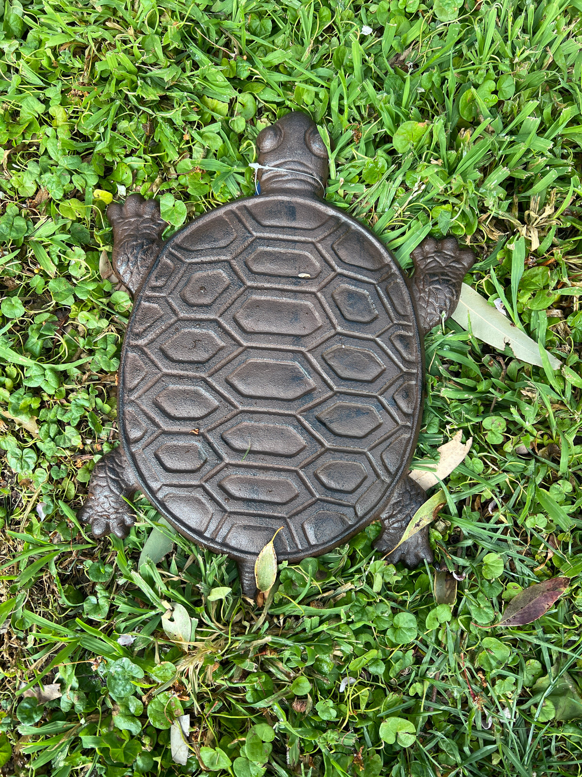  Turtle Garden Stepping Stone