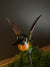  Glass hummingbird Stake