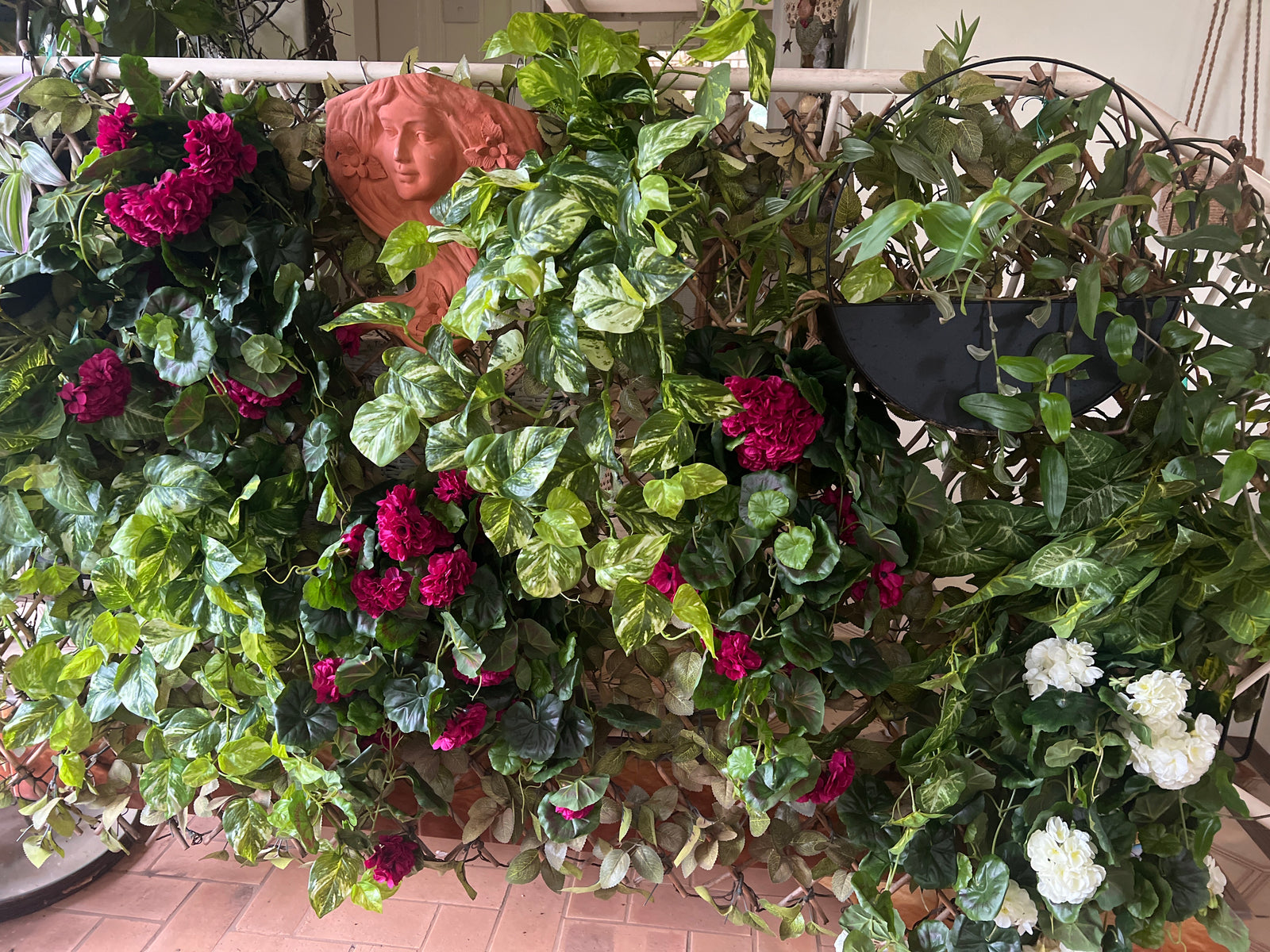  Hanging Green Syngonium Bush Vine