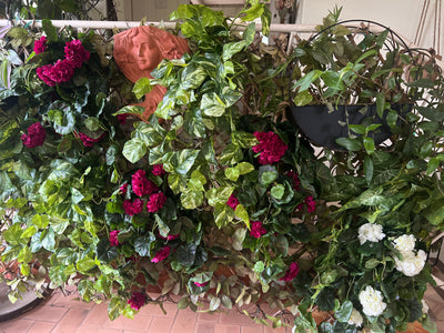  Marble Pothos Hanging