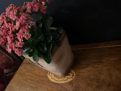  Handbag Planter