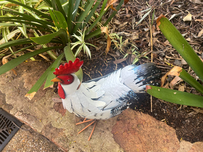  Snowy The Hen