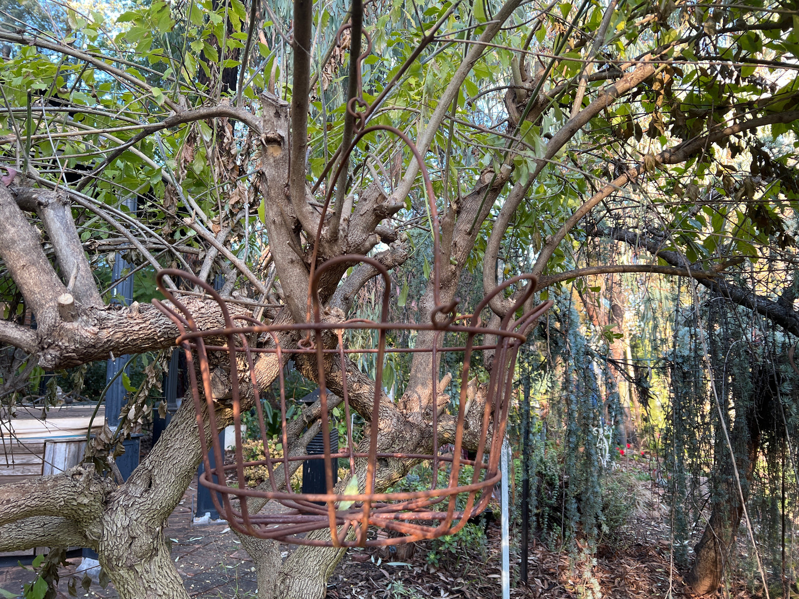  Hanging Rust Basket - Large