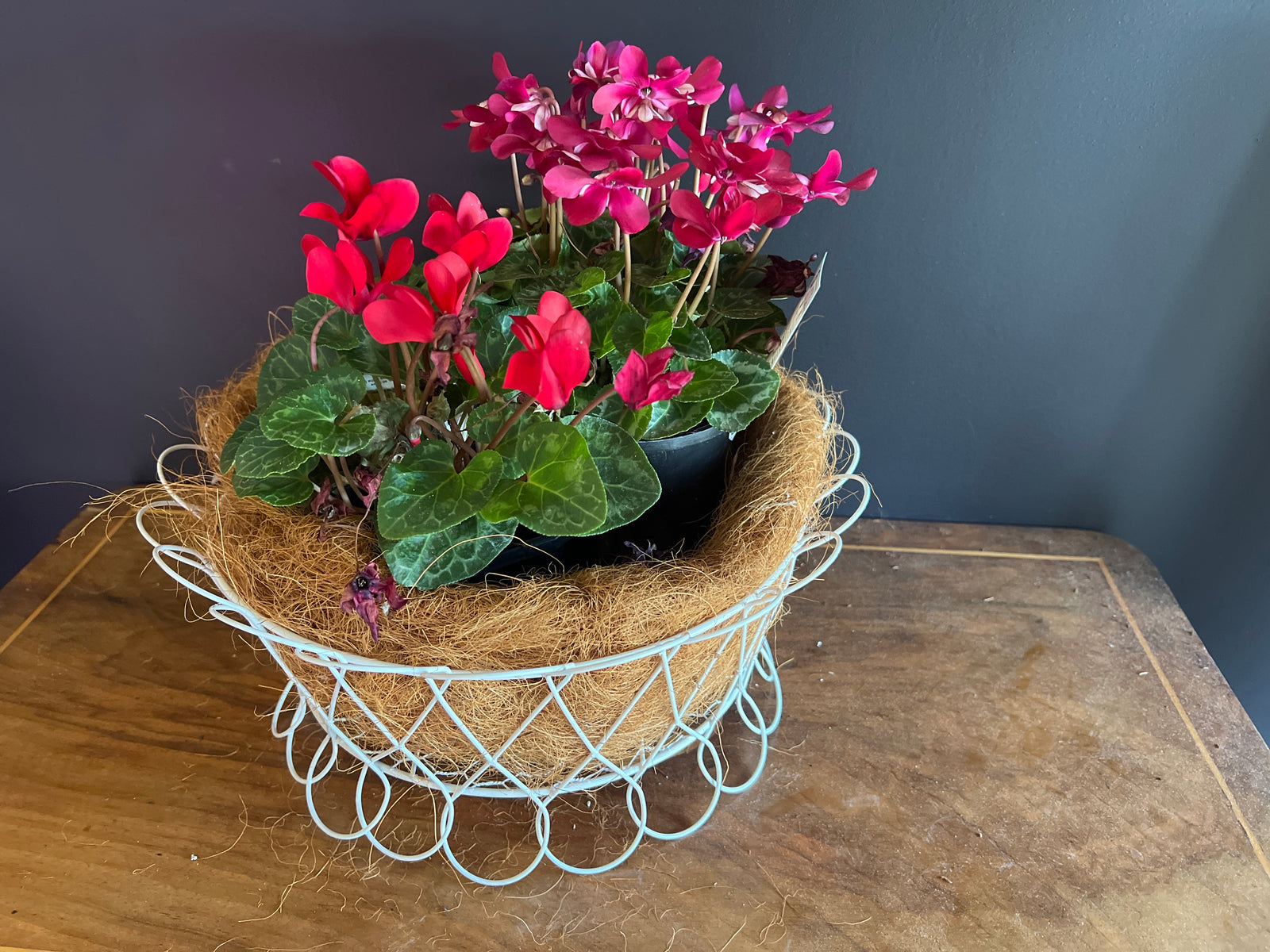  White Wire Basket - Table