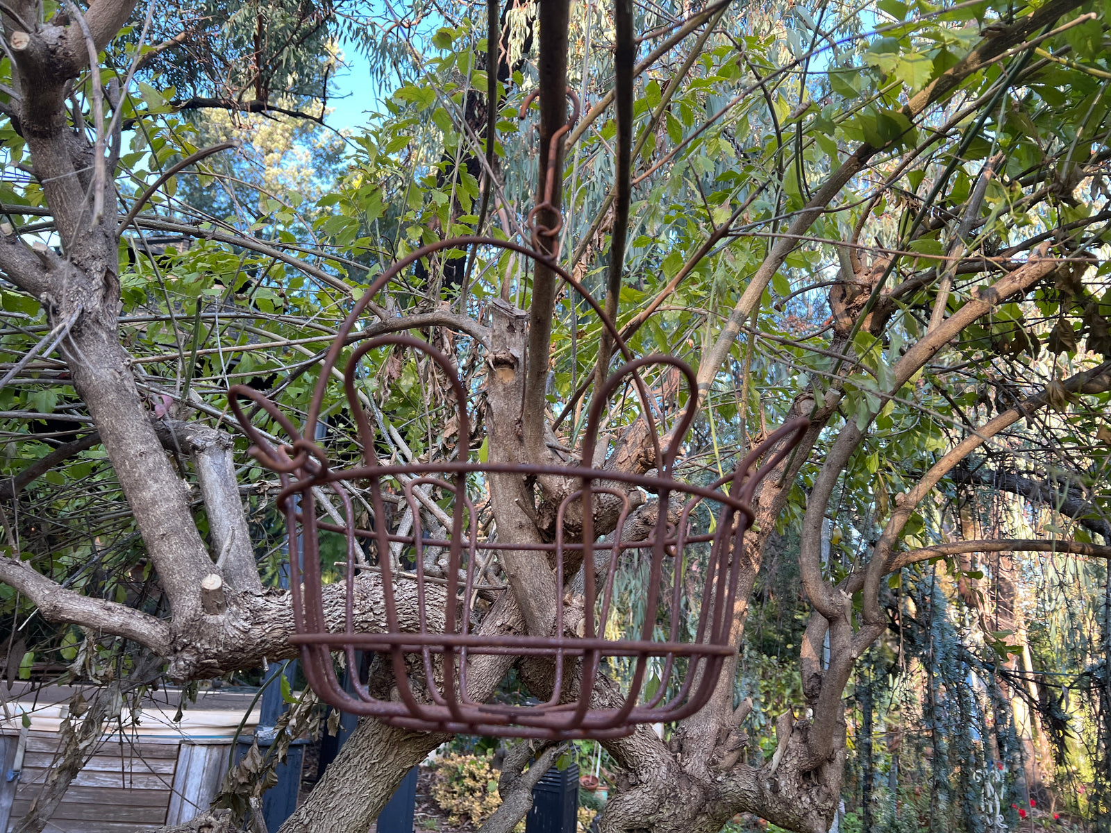  Rust Hanging Basket - Small