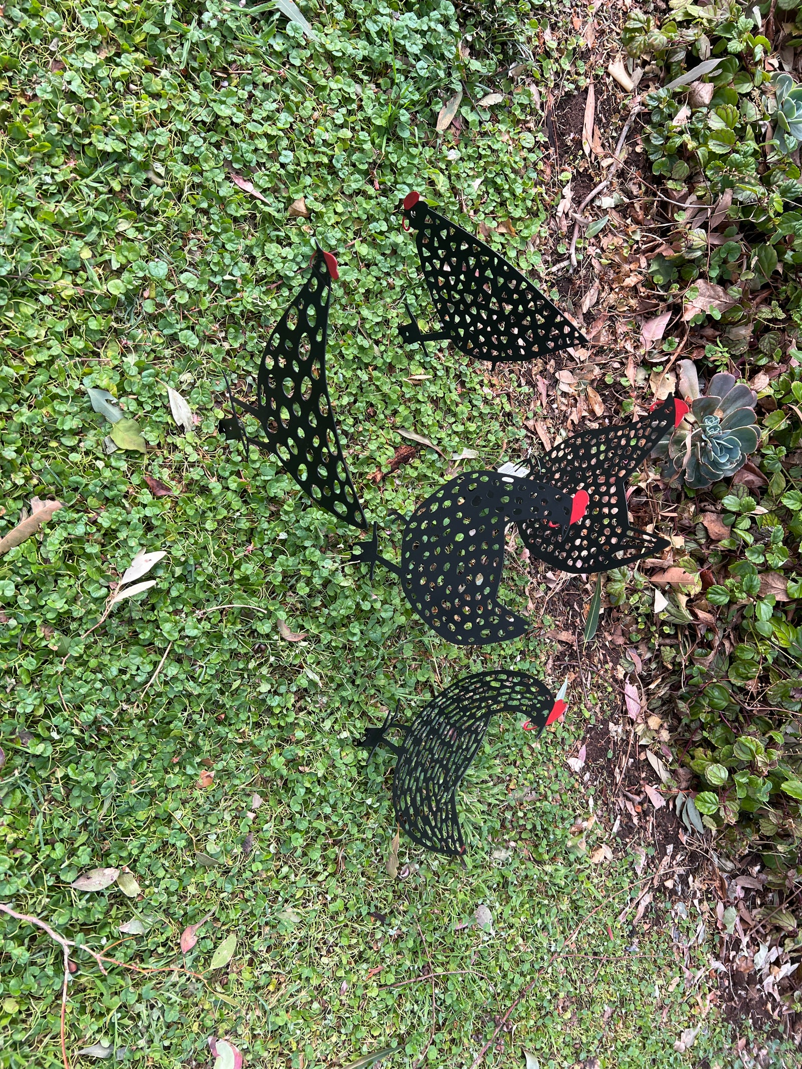  Set of 5 Black Hen Stakes