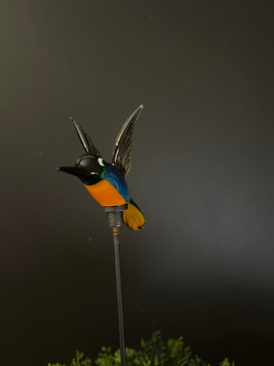  Glass Hummingbird -B