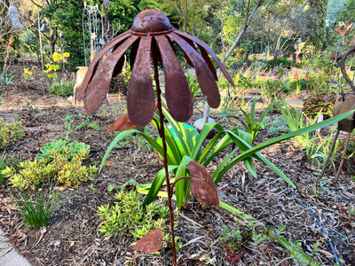  Large Rust Daisy