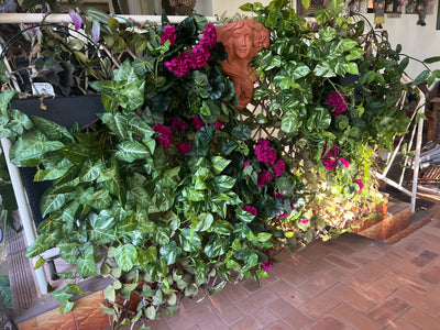  Marble Pothos Hanging