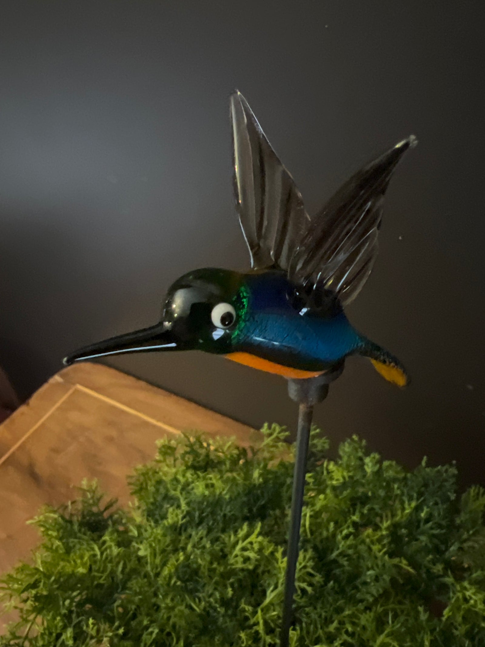  Glass Hummingbird -B