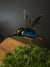  Glass Hummingbird -B