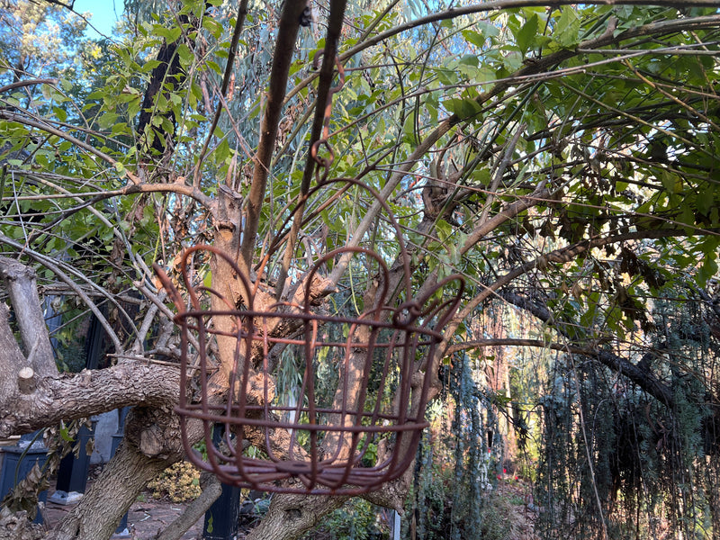  Rust Hanging Basket - Small