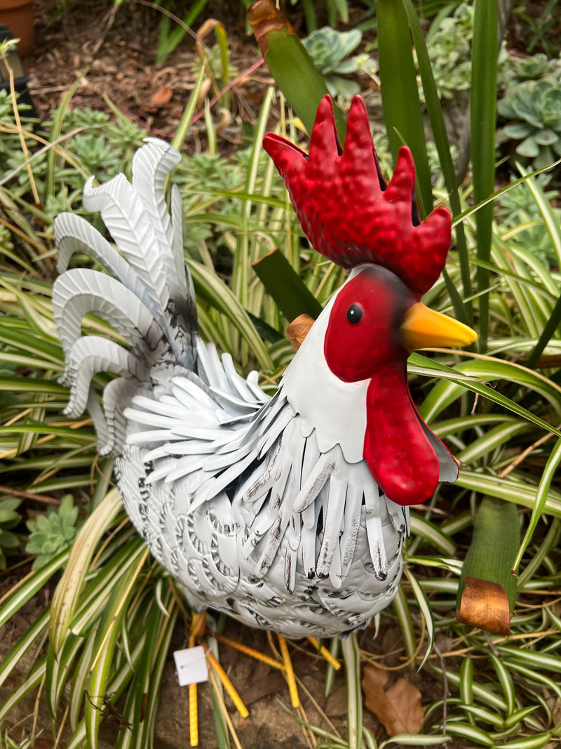  Snowy The Rooster