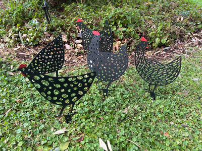  Set of 5 Black Hen Stakes