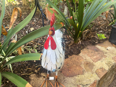  Snowy The Hen