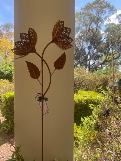  Double Rust Solar Flower