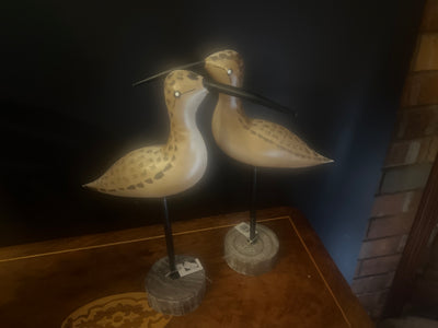  Metal Bird with Black Plumage