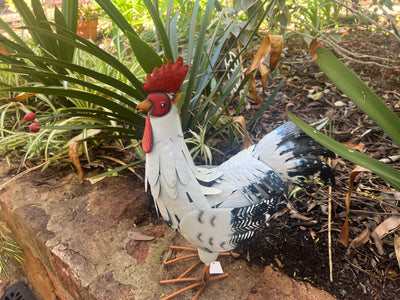  Snowy The Hen