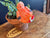  Chicken Pot Sitter Coloured - Large