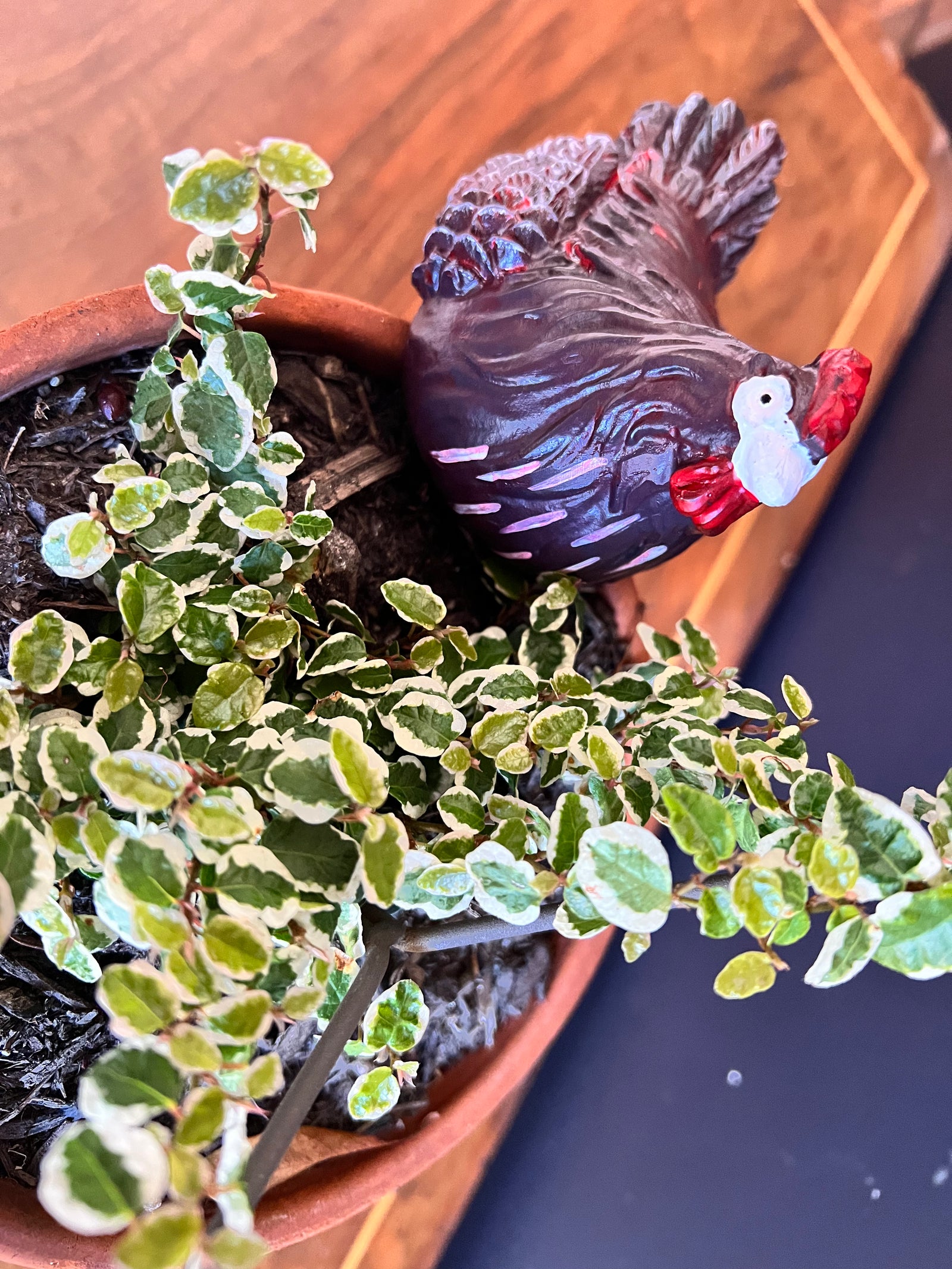  Chicken Pot Sitter - Large Brown