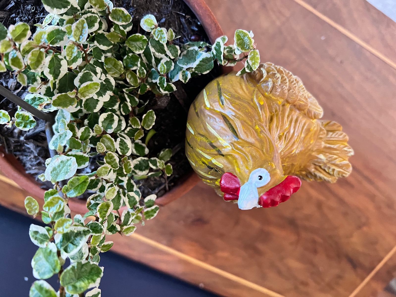  Chicken Pot Sitter/ Mustard