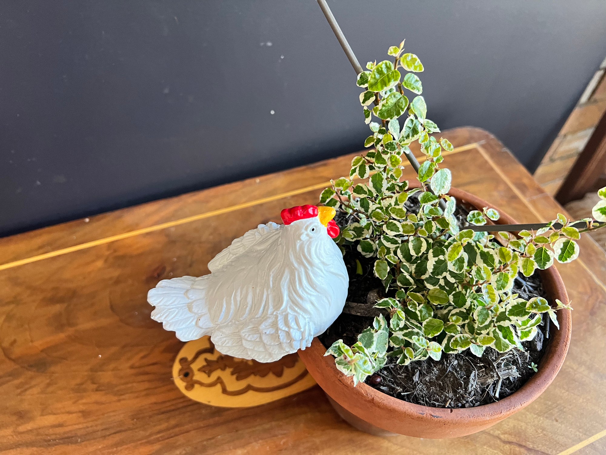   Chicken Pot Sitter White - Large