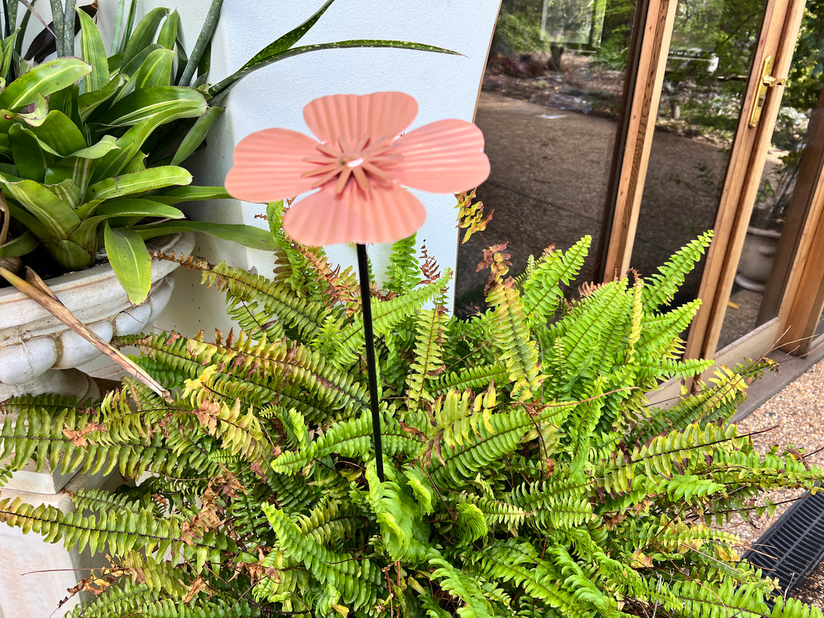  Copper Flower-Medium
