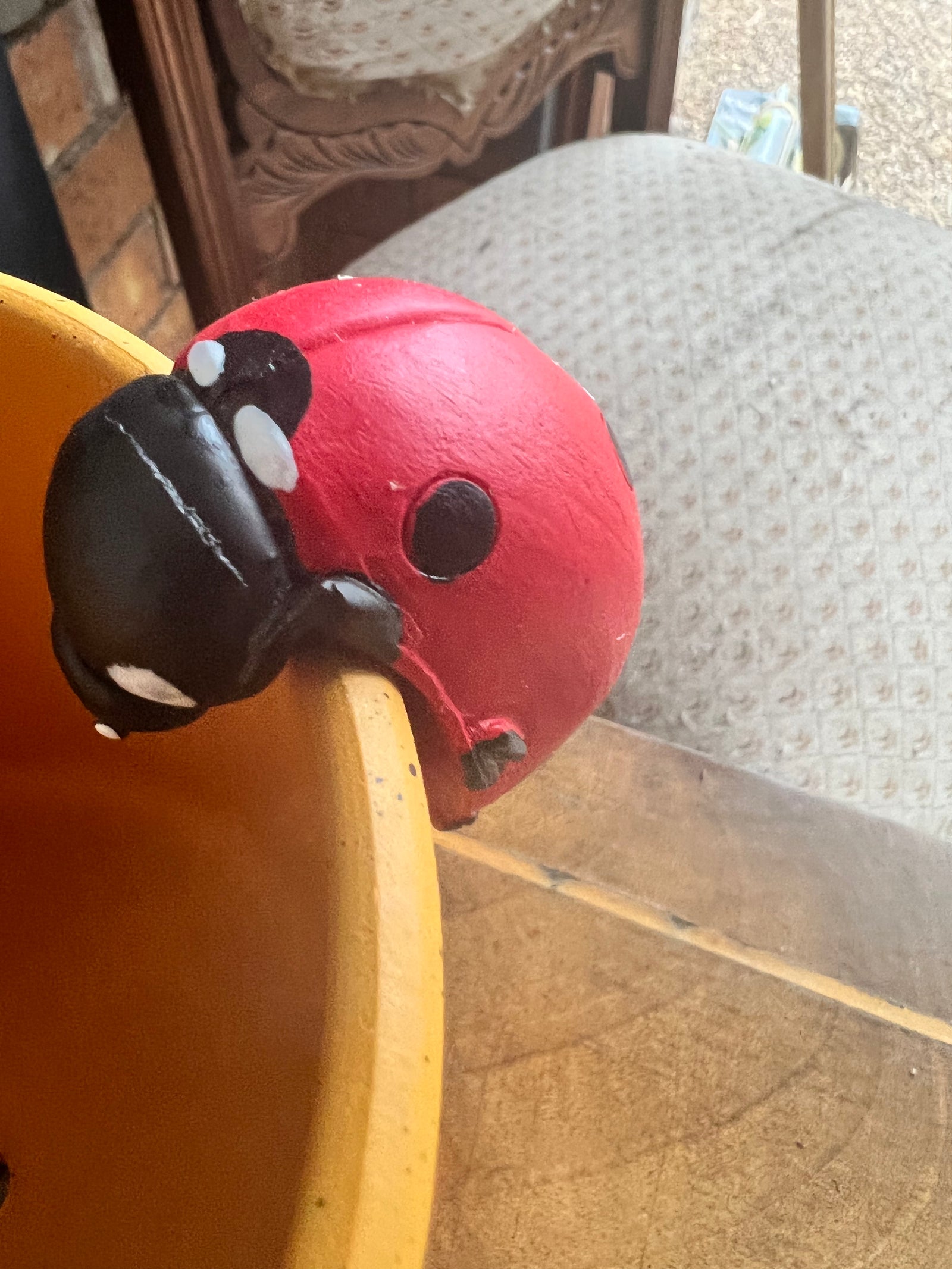  Eve Ladybird Pot Hanger