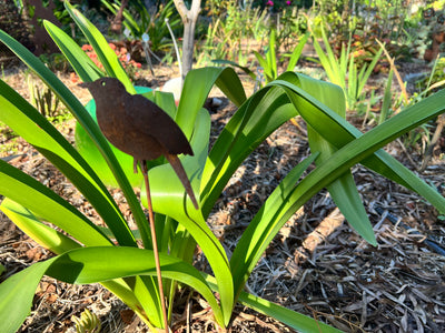  Finch Metal Garden Stake