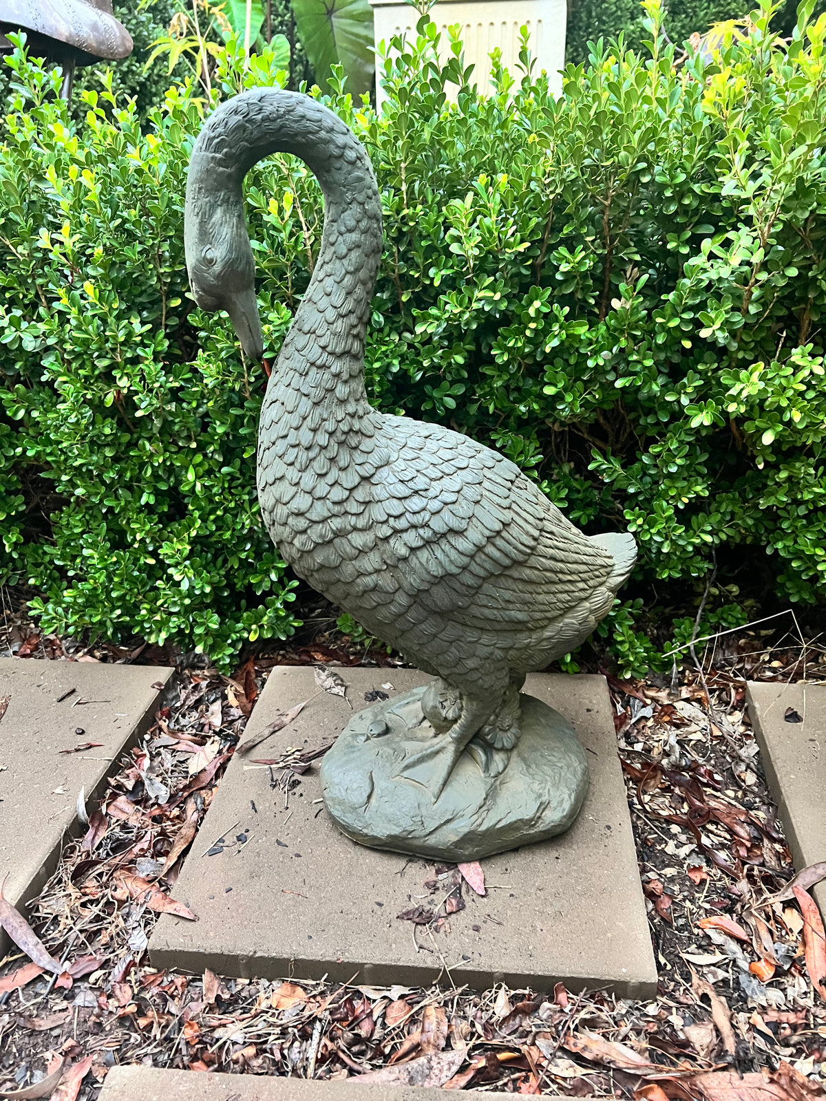  Goose Head Down