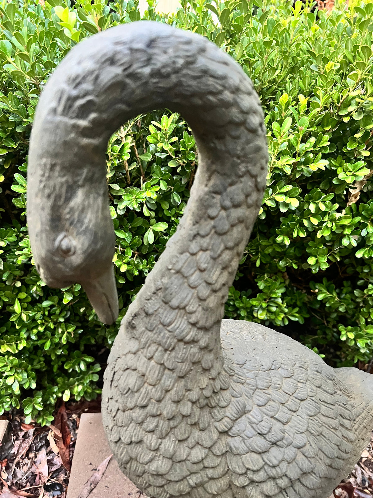  Goose Head Down