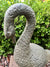  Goose Head Down