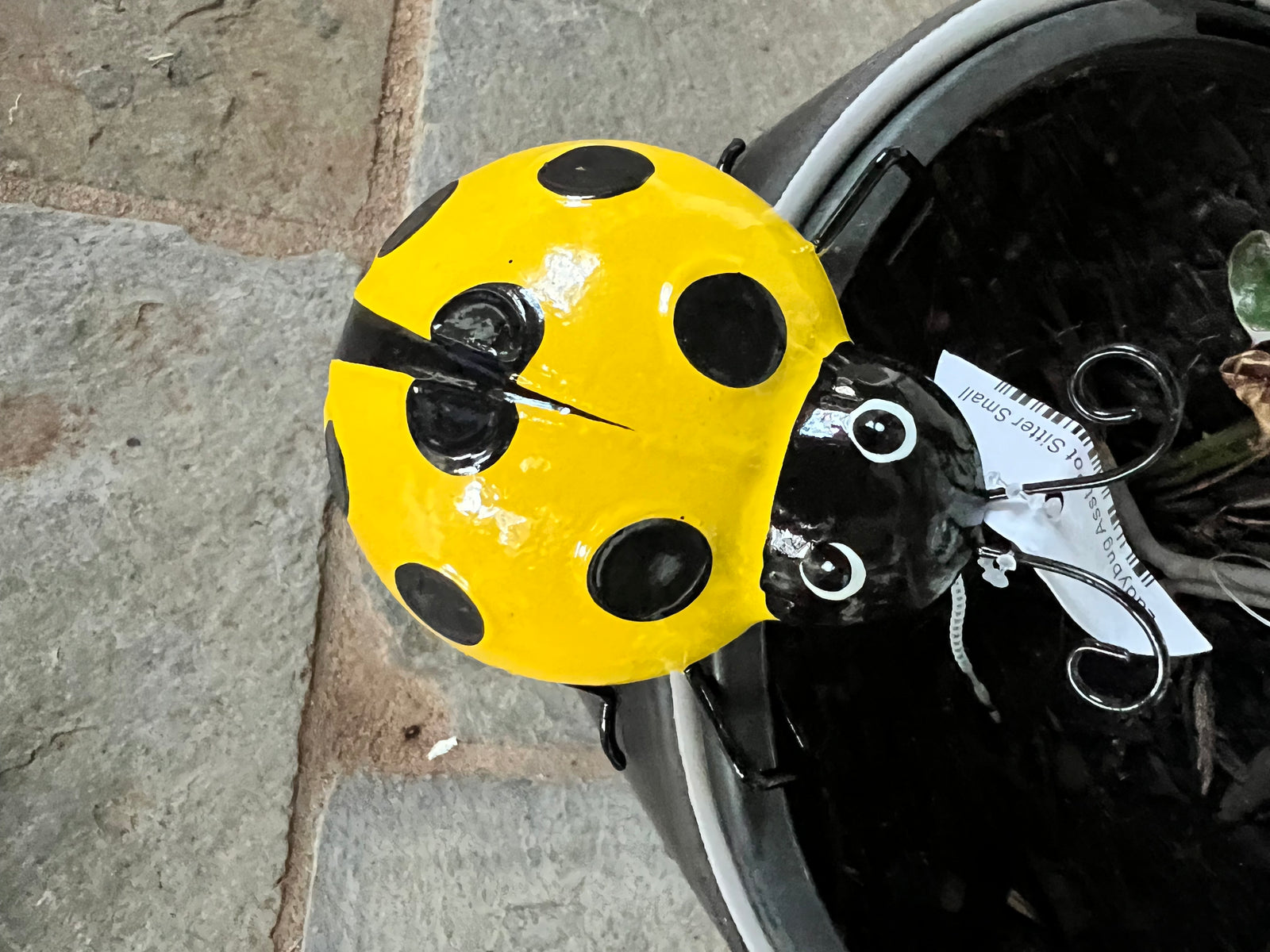 Ladybug Pot Sitter