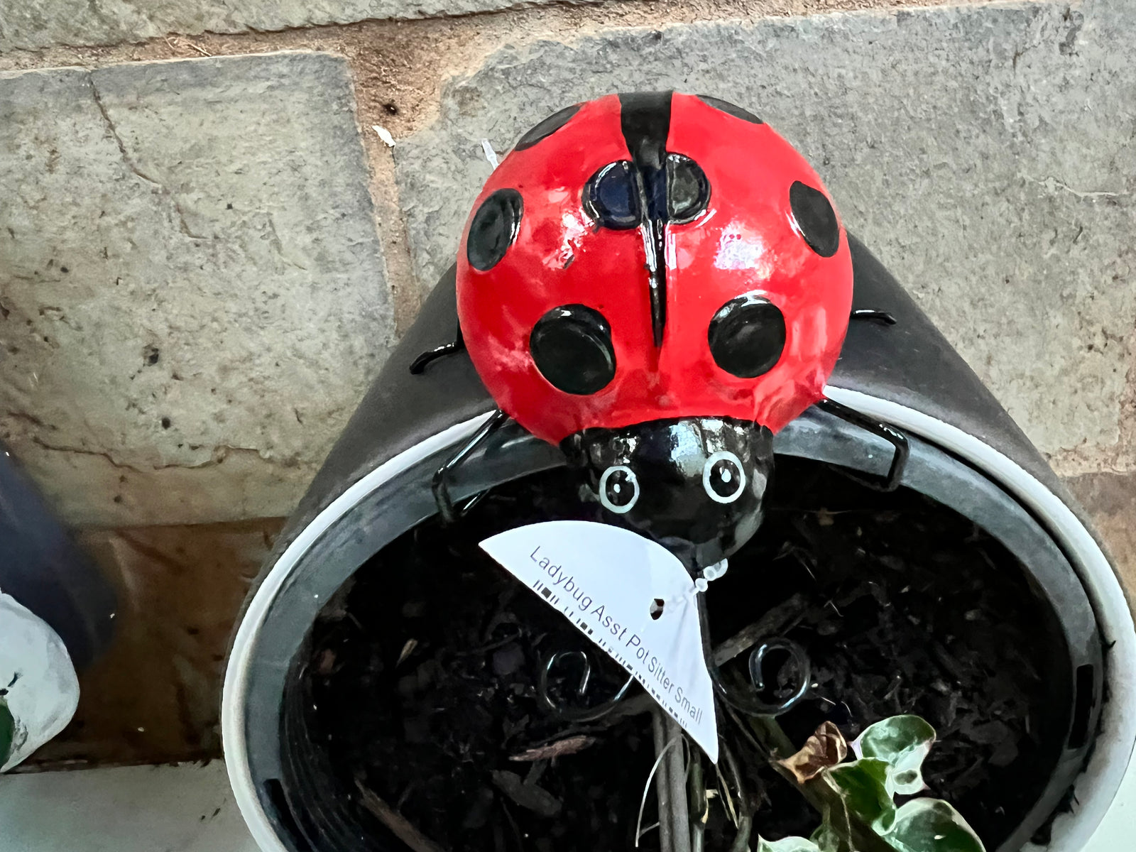  Lady Bug Pot Sitter Metal