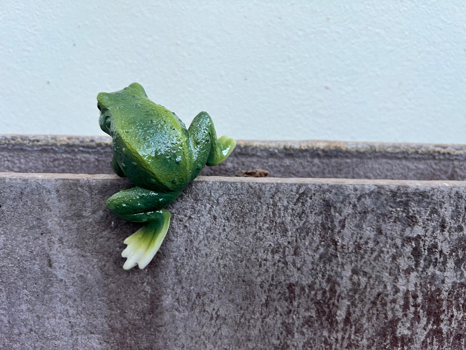  Curious Frog Pot sitter - A