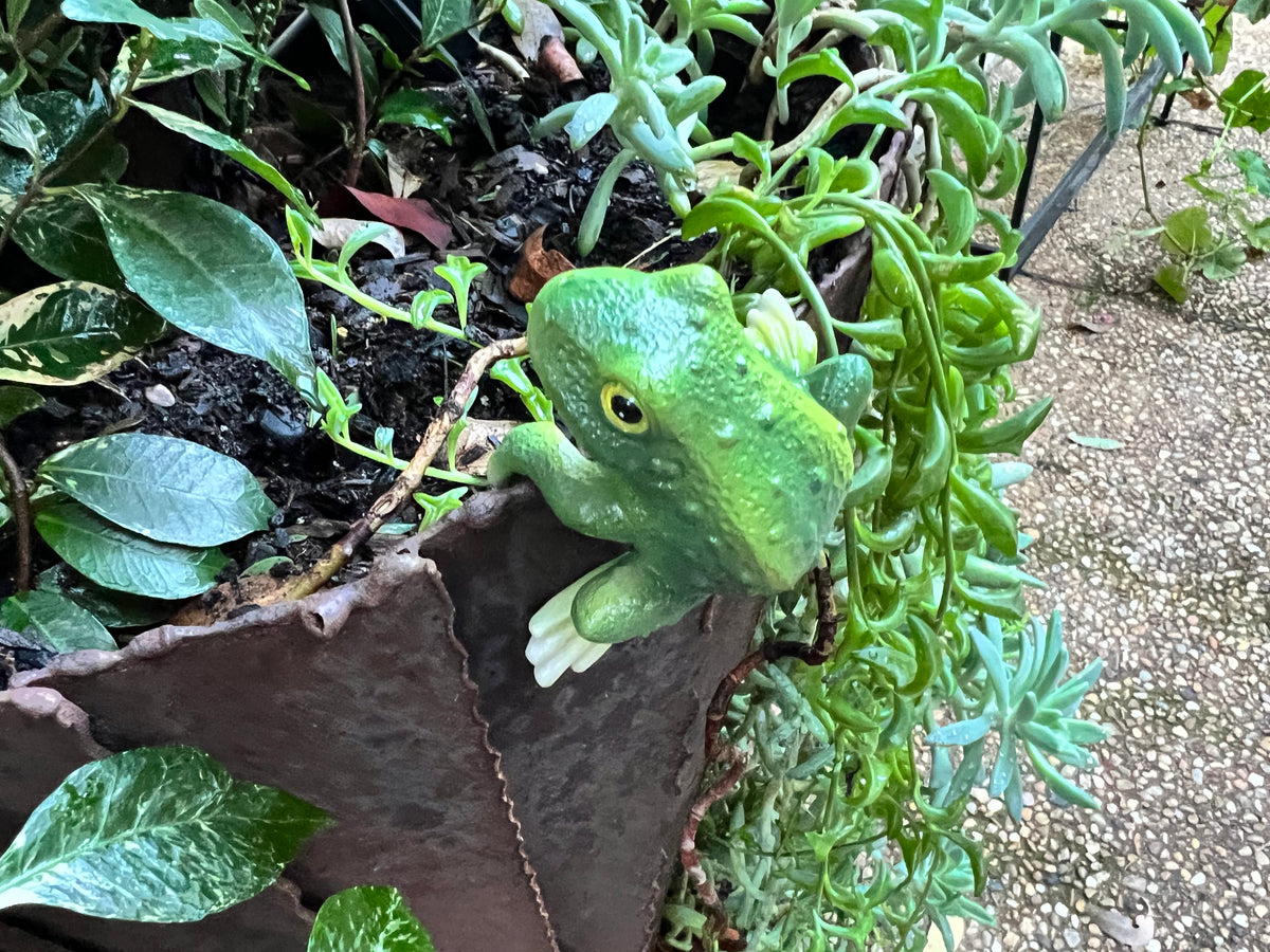  Curious Frog Pot sitter - A