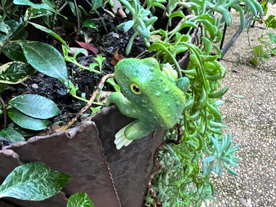  Curious Frog Pot sitter - A