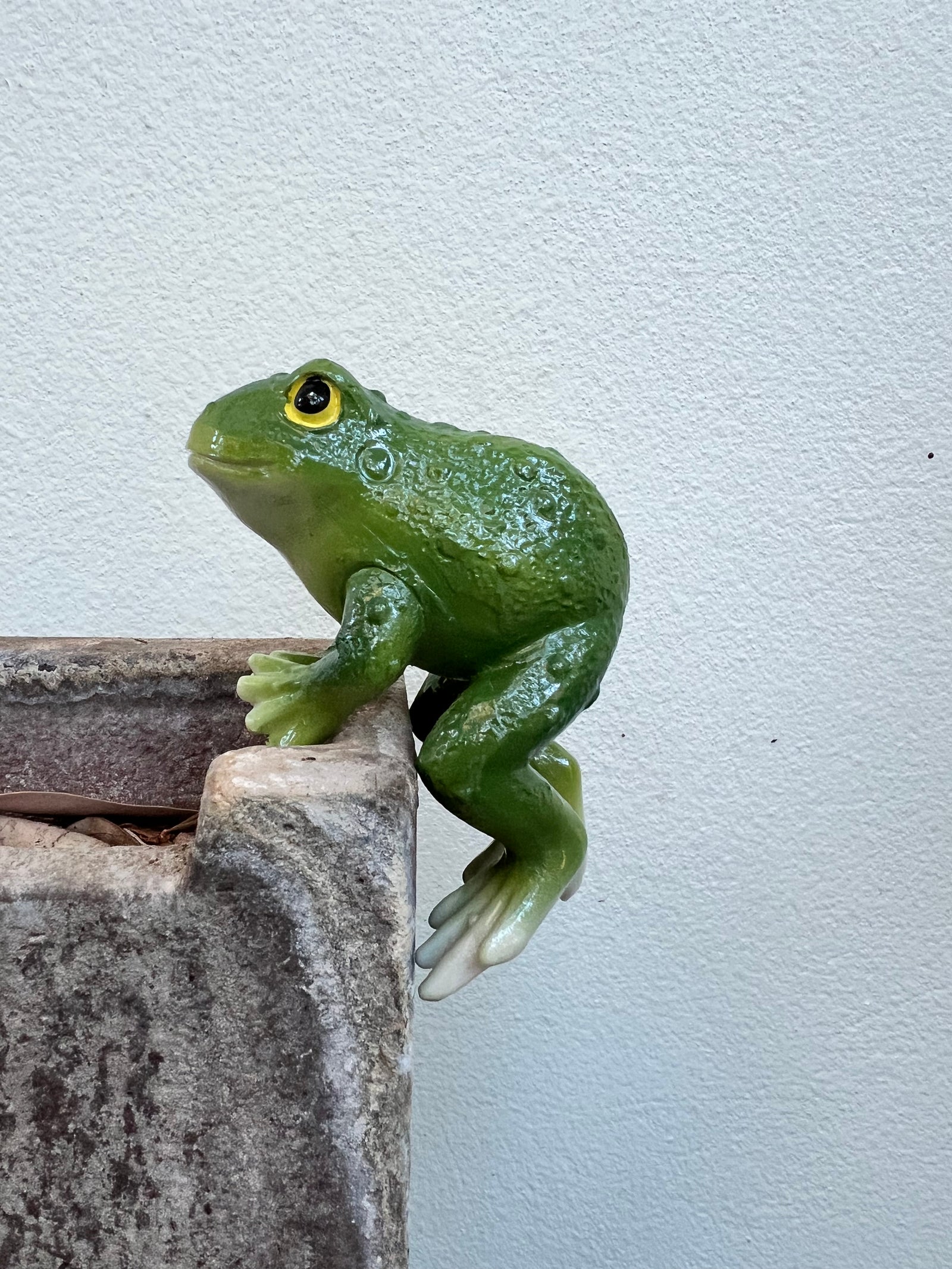  Curious Frog Pot Sitter- B