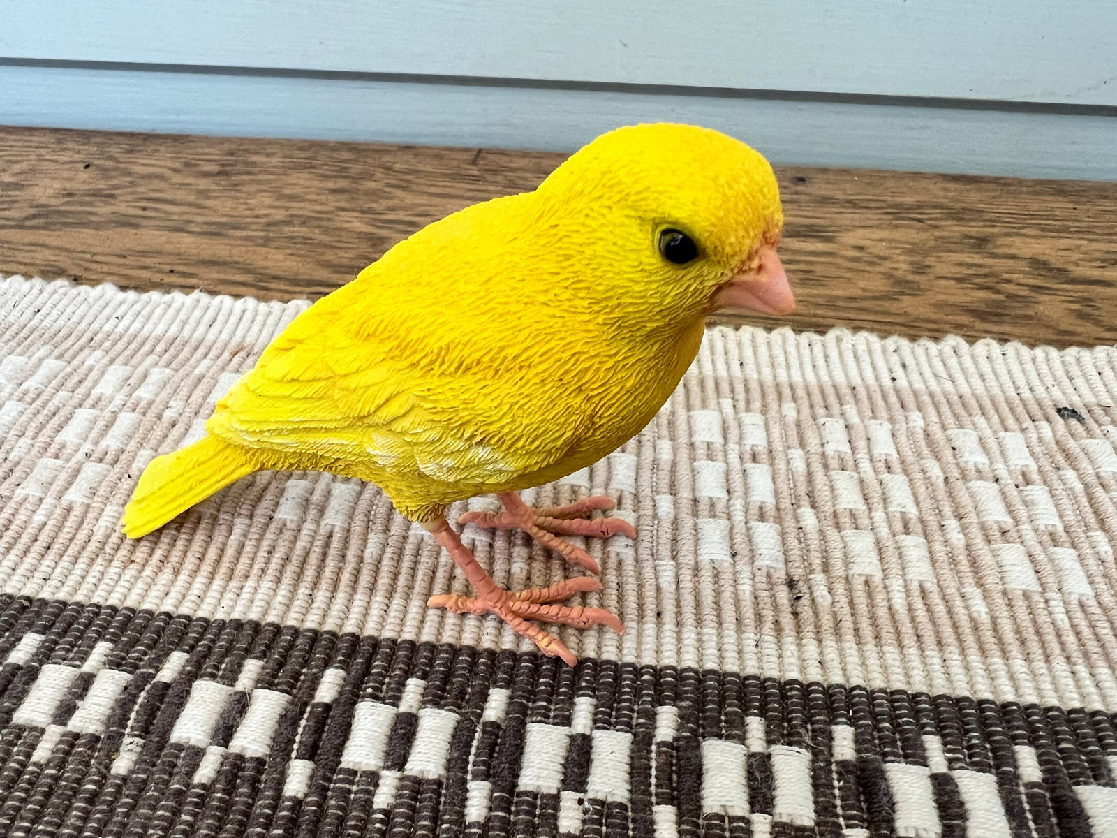  Yellow Canary