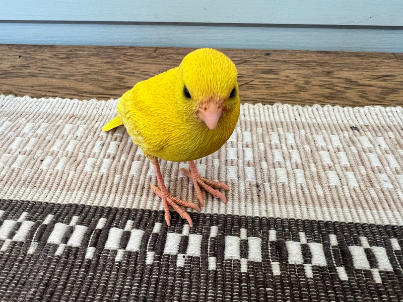  Yellow Canary