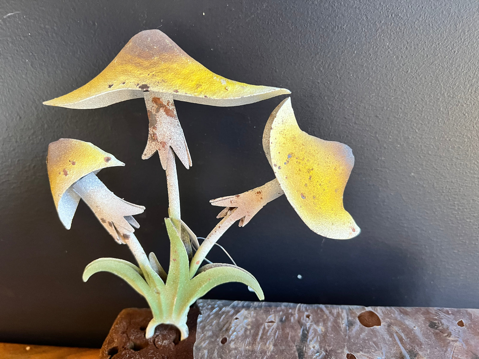  Mushroom Bunch Garden Stske