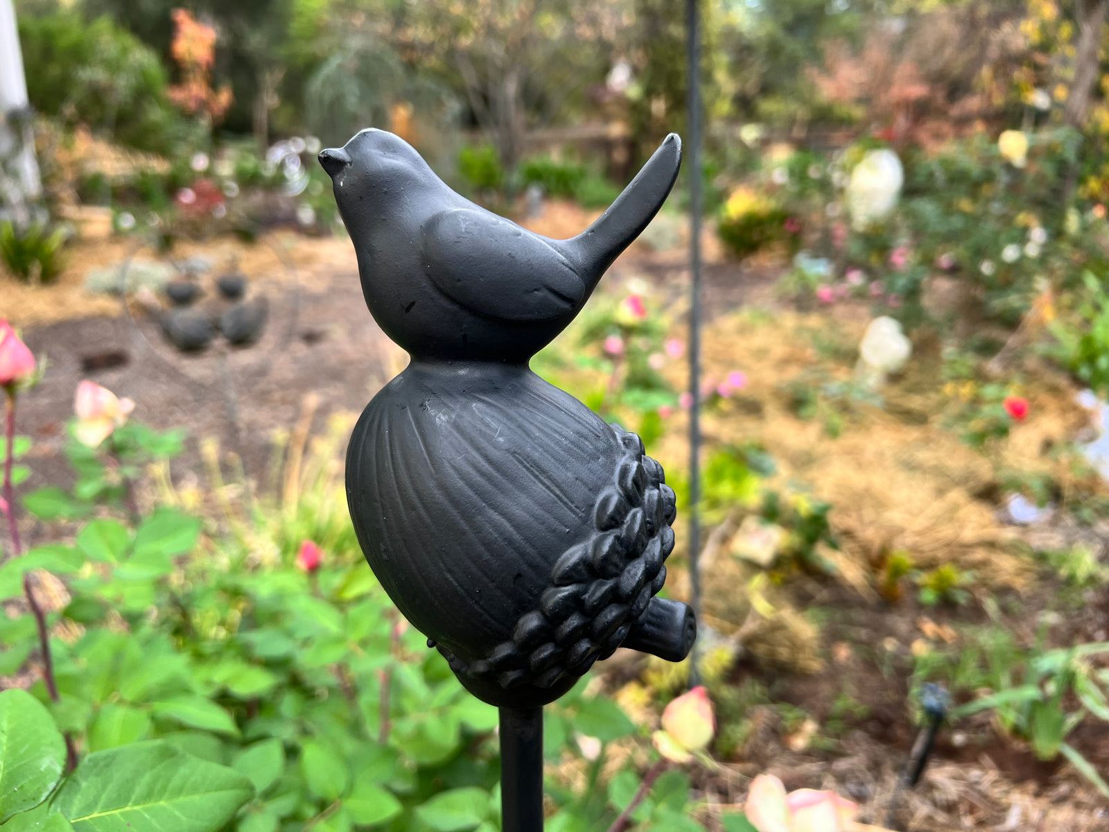  Stake Acorn Bird Cast Black- B