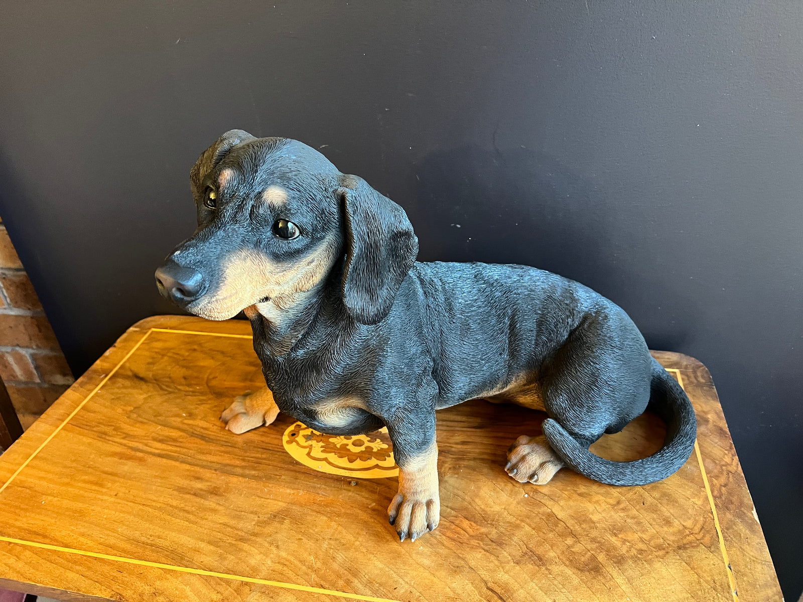  Sitting Black Dachsund