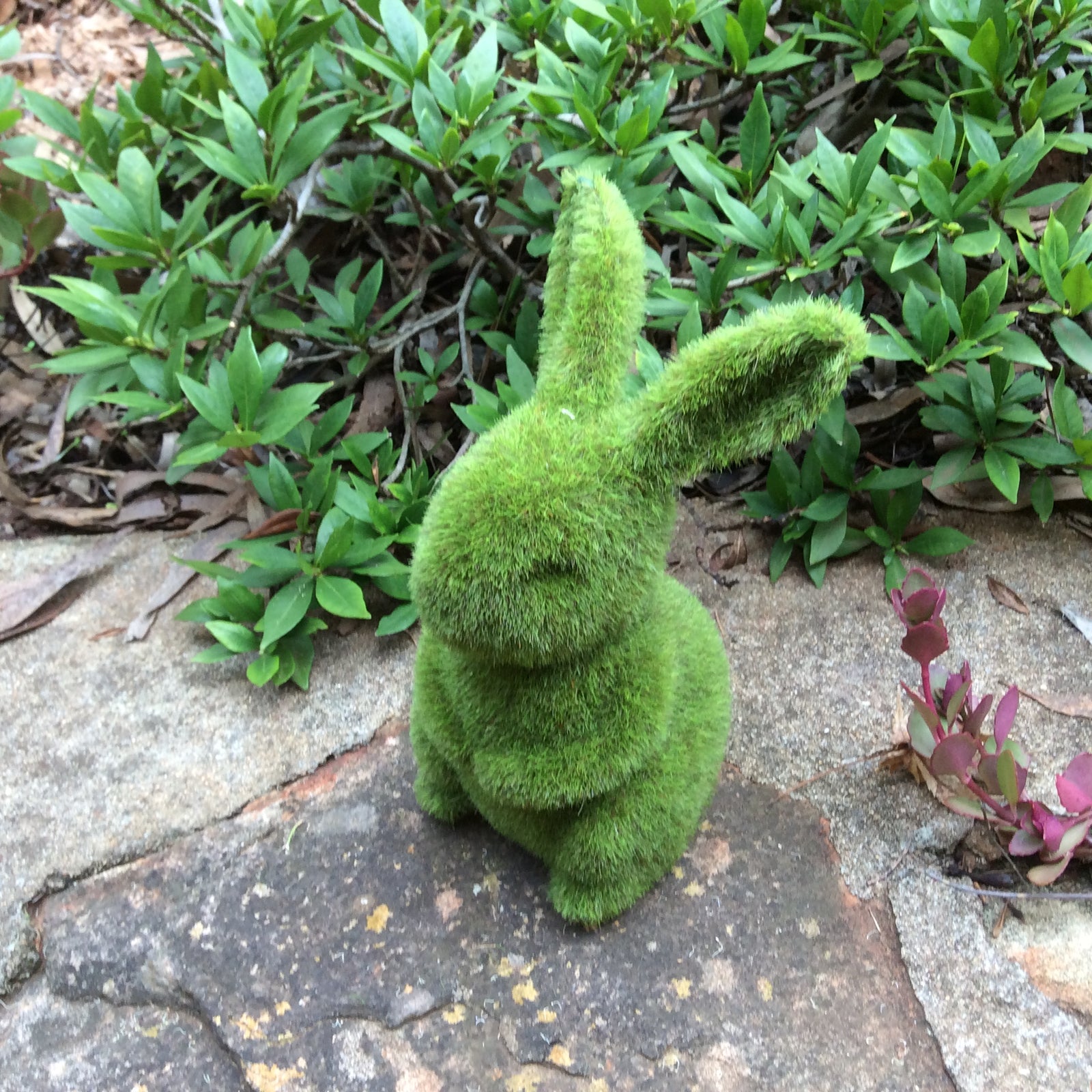  03-8-17-2254.undefined